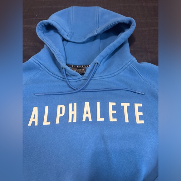 ALPHALETE CROP SWEATER IN GREAT CONDITION - Picture 1 of 5